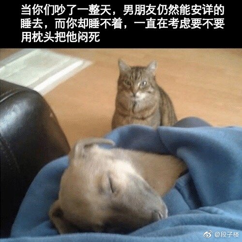 a905b8d7ly1g3cgf1vky8j20dw0dwjtb