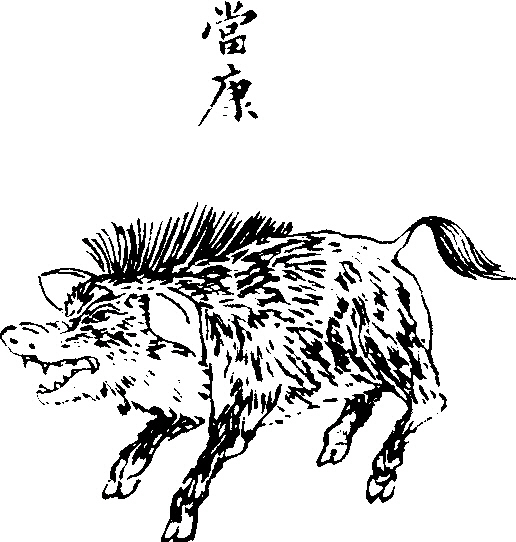 2.1 图3 当康