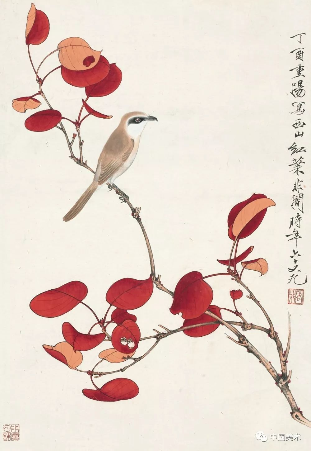听民国工笔花鸟画大师于非闇讲 国画如何妙绘自然