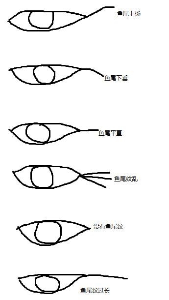 1,剪刀形鱼尾纹