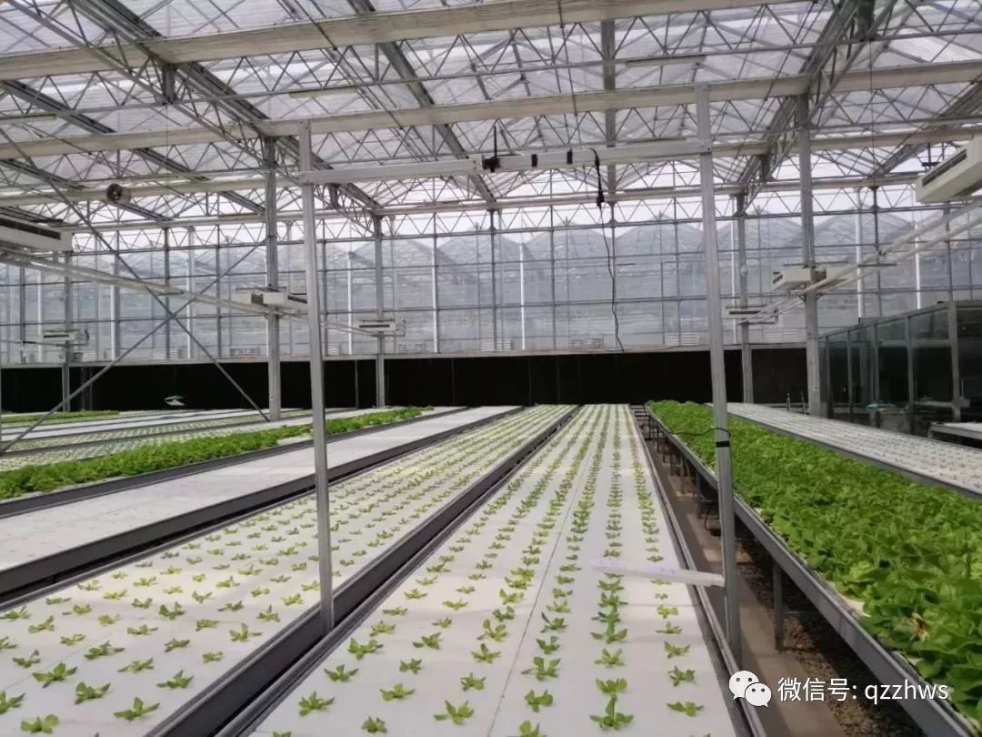 京东方植物工厂:用科技改变农业,让大家吃的更健康!