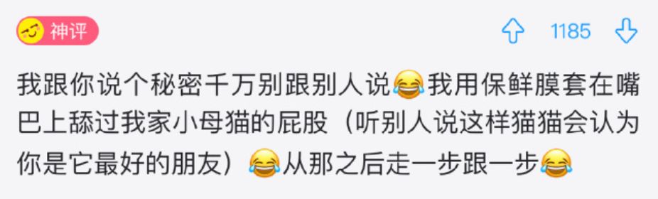 不养猫，你都不知道自己有多卑微 !