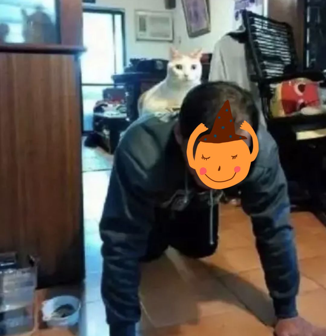 不养猫，你都不知道自己有多卑微 !