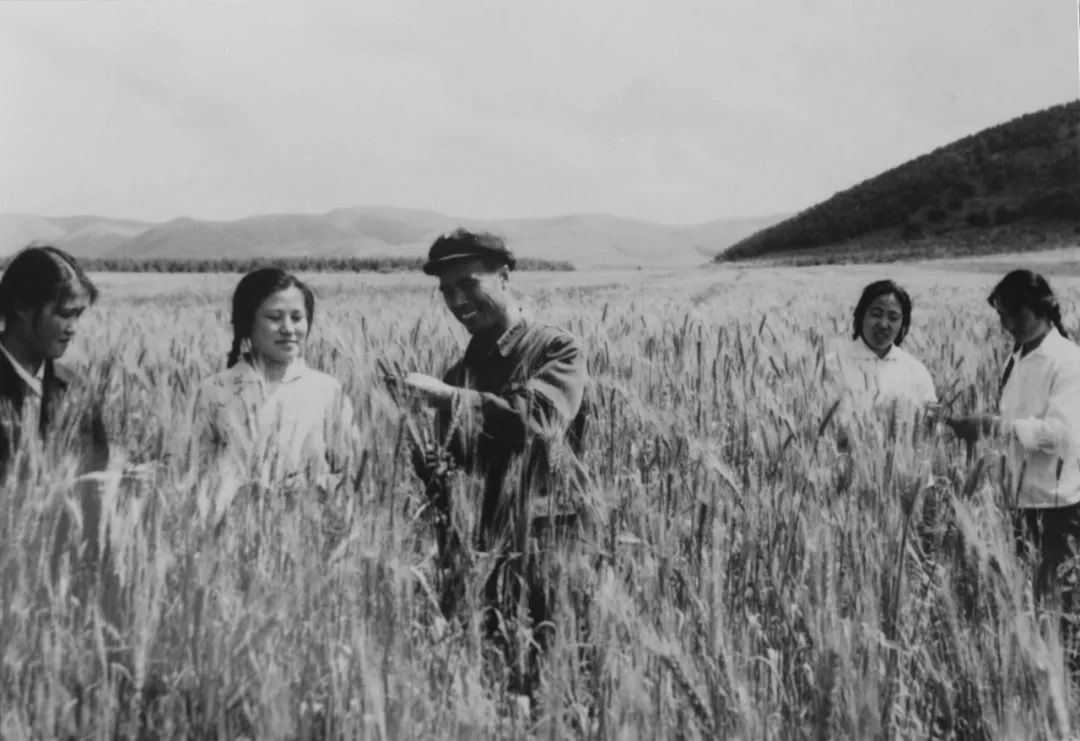 57年来,塞罕坝林场几代人战胜了高寒,大风,沙化,干旱,改变了风沙蔽日