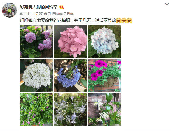 图片166.png