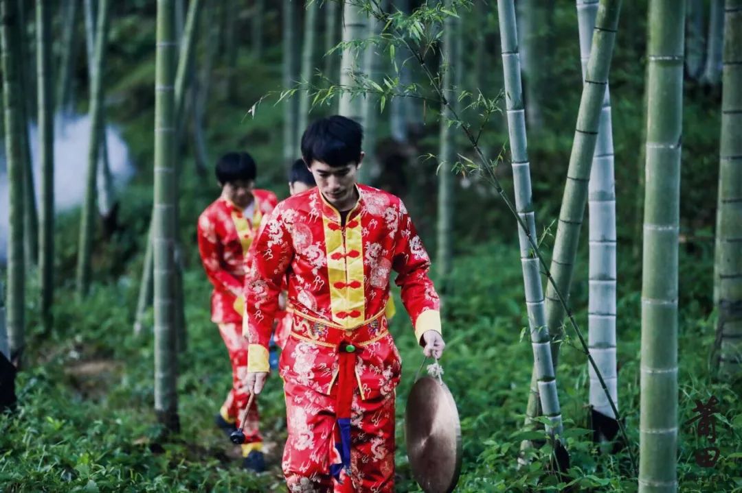 哆头蛏的夏天