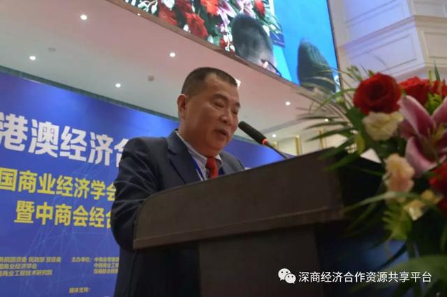 中商会大湾区经合委吴长阳会长讲话