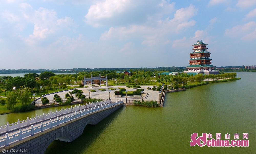 大美成武鸟类天堂文亭湖鸟岛风景