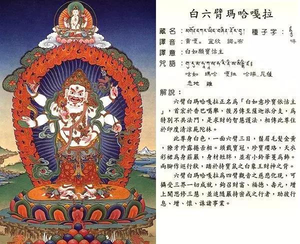 六臂白玛哈嘎拉正名「白如意珍宝依怙主」,首宏于香巴噶举,是为香巴