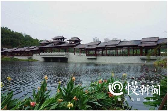 重庆九龙坡区手绘景点地图出炉,快来打望