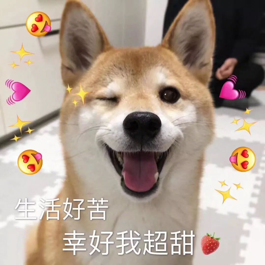表情包丨用猫咪表情包的是绿茶女孩,那用柴犬表情包的