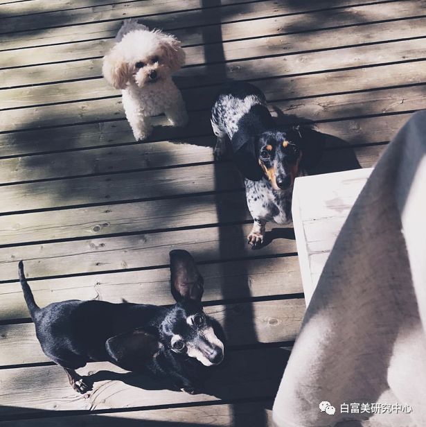 The only family that has been rich for more than 15 generations, at the age of 22, she lay down and crushed half of the celebrity circle.