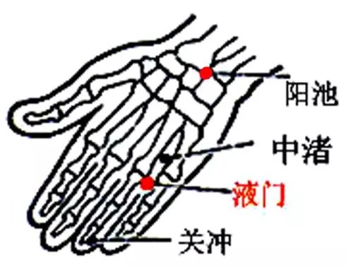 用好「這個穴道」，很多毛病就會迎刃而解，不治自消 健康 第2張