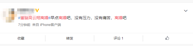 高云翔董璇跨洋过海云离婚这闹的也是够热闹的了