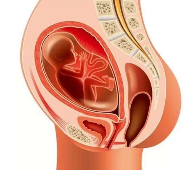 无法想象:胎儿脐带绕颈到底有多危险?准父母们可千万要注意