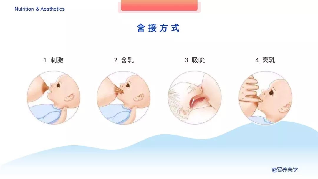 指南告诉你，如何科学母乳喂养？凤凰网 