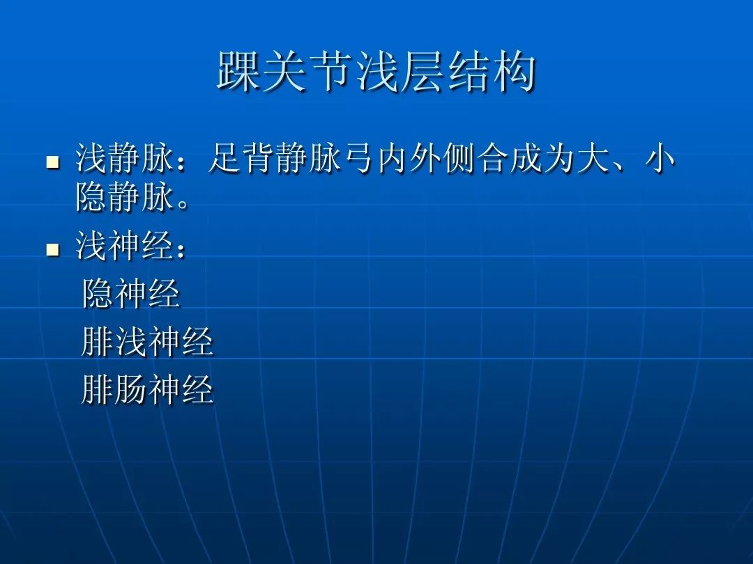 近似单轴的屈戌关节,在足背屈或跖屈,其旋转轴是可变的,由于这种解剖