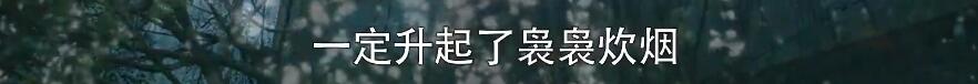 看刘奕君谈恋爱，我才真上头