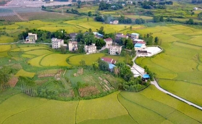 点赞!广饶一人入围“全国农村青年致富带头人” 澳门赌博游戏平台