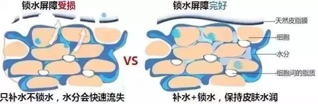 你的脸太脏了！这支“网红洗面奶”刷爆朋友圈，60秒让你彻底爱上洗脸！