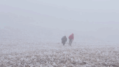这部纪录片又把人看哭了