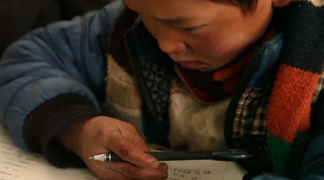 这部纪录片又把人看哭了