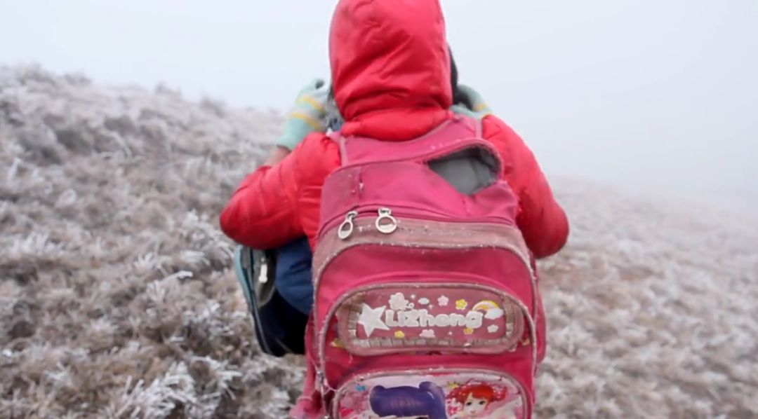这部纪录片又把人看哭了