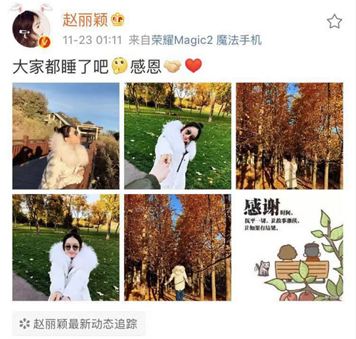 赵丽颖和老公牵手看银杏，冯绍峰的影子亮了