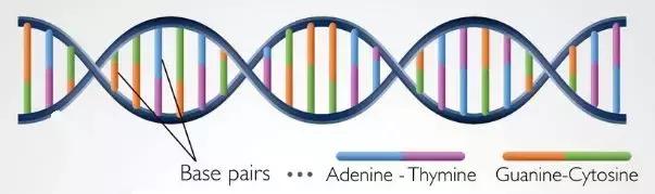 我们要抵制胡作非为的科学家