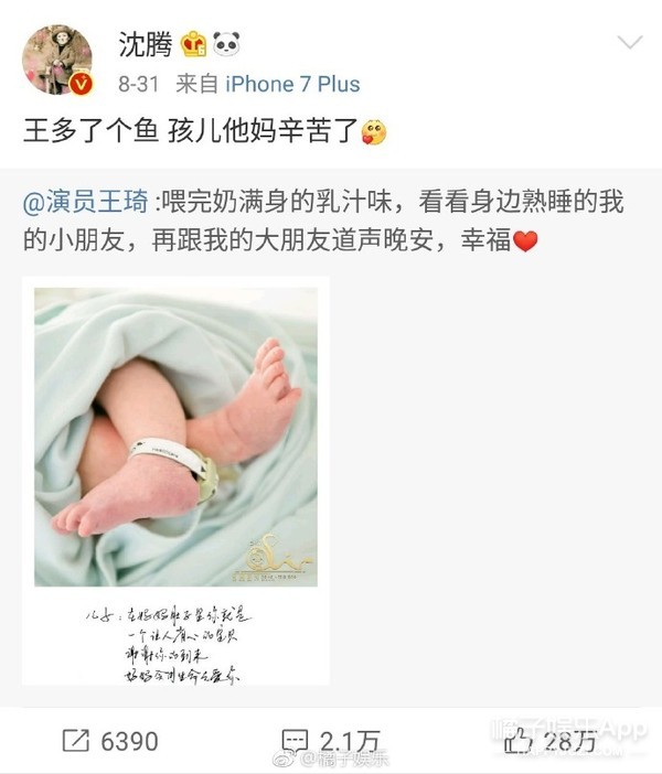 晚报|毛俊杰向海关工作人员道歉 金莎发文为胡歌澄清
