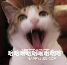 你们这届粉丝真的很难带