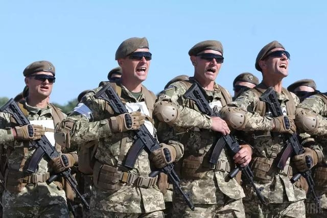 乌克兰军队阅兵:枪托"民主气息"满满