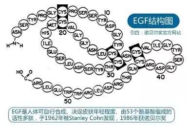 朋友圈最受欢迎的EGF，竟然是激素，还会致癌？