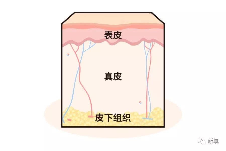 董洁这脸是返厂了吗？