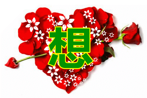 500_333 gif 动态图 动图