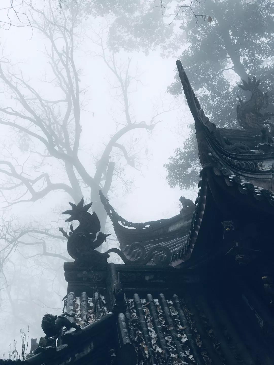 乱逛 如果下雪，我就想跑进青城山的迷雾