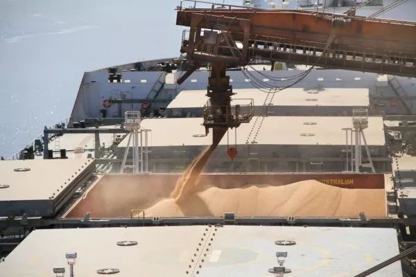 少12船货, 美大豆出口协会证实中国恢复购买美豆