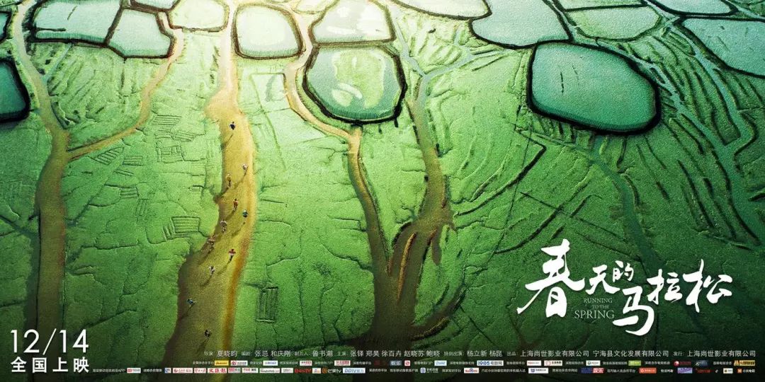脱离“土气”， 定位“诗和远方”，主旋律农村电影的新思路