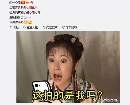 林心如吐槽自己的发型像泰迪，网友：现在的明星都这么幽默吗？
