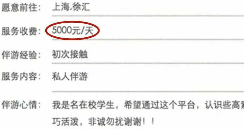 那些陪玩陪睡的伴游女