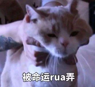 张雨绮新脸比马脸还长，眼角开到山根是多想不开？
