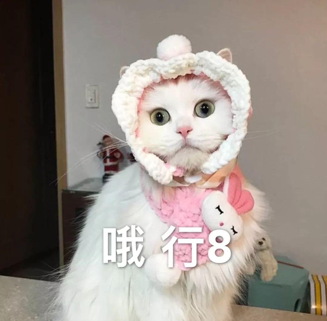 斗图表情包:开黑吗?我电竞少女