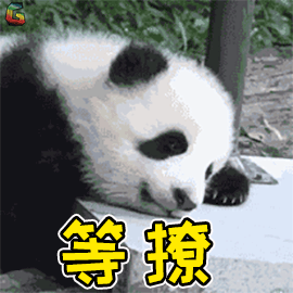 蔡徐坤朱一龙吴亦凡…这个冬天男星“不要脸”了，女星也不露腿了