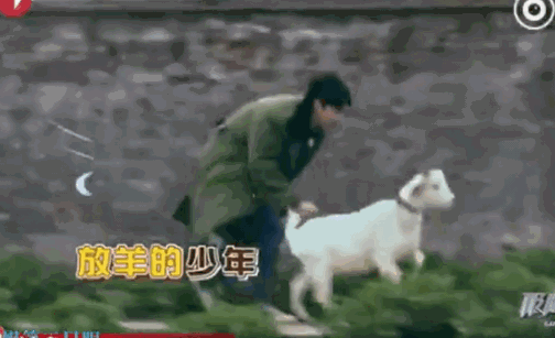 张艺兴，你清醒一点！