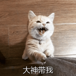 2018年度十大网络用语发布；王小川评张一鸣与张小龙；2018年中国游戏收入超两千亿元 | 猬报