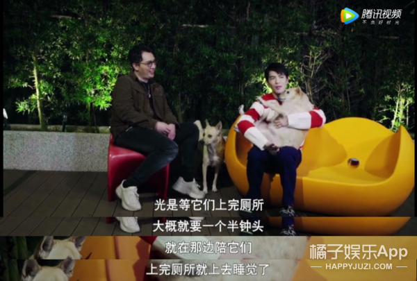 被他和流浪猫狗的故事感动了...