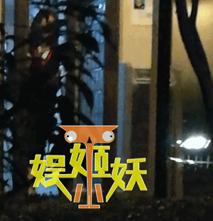 一天之内被爆两个结婚对象，大家是有多迫切看到胡歌成家啊？