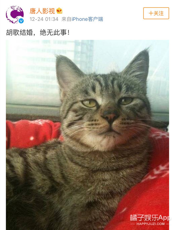 一天之内被爆两个结婚对象，大家是有多迫切看到胡歌成家啊？