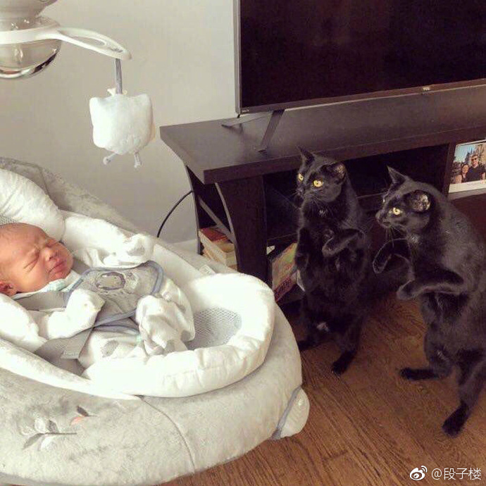 每日神段子丨去漫展看看就知道有多少蜘蛛侠了，年底冲业绩吗？