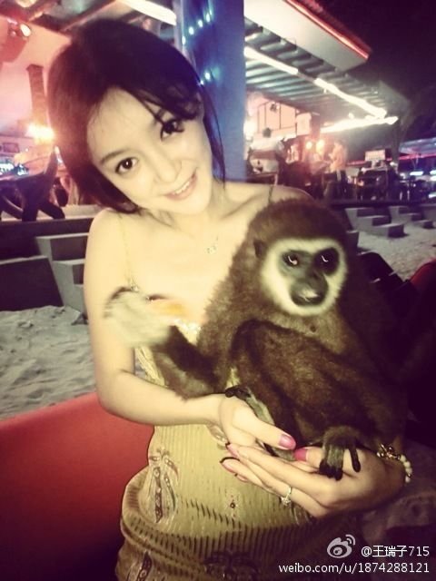 王凯初恋整成低配版沈梦辰！连她整形后遗症的朝天鼻也照搬了···